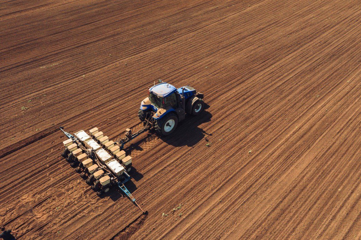 Новини бізнесу - В Україні посівна площа під сільгоспкультурами на 6,1% менше, ніж торік