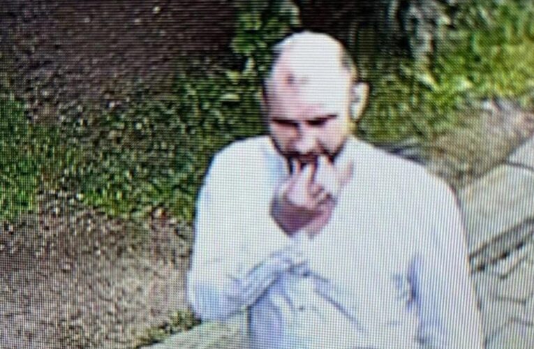 В зоопарку Москви чоловік намагався отруїти рисей і леопарда