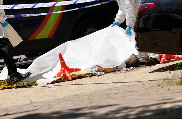 Вбивство Портнова: у МЗС України зробили заяву