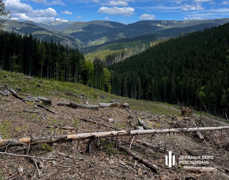 Новини України - Вирубали ліс на 12 млн: на Закарпатті судитимуть групу лісників