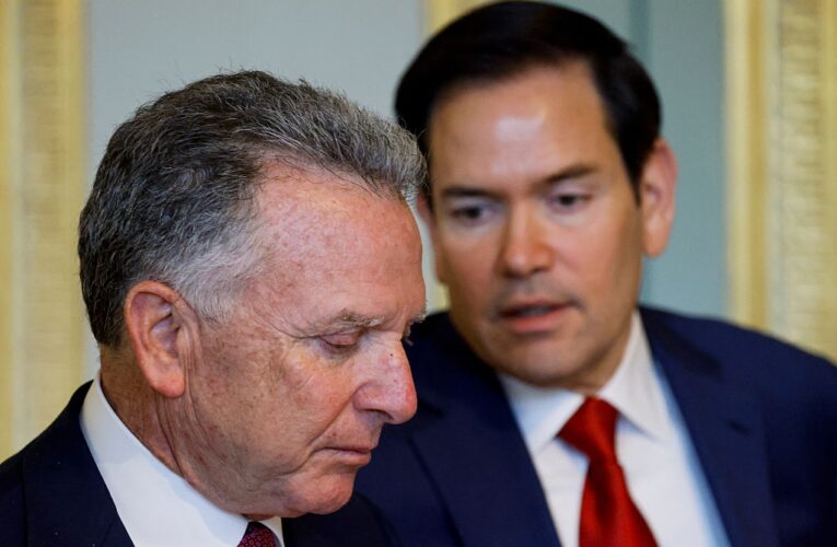 Віткофф та Рубіо приїдуть на переговори до Стамбула 16 травня