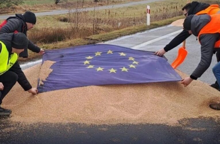 ЄС планує підвищити мита на імпорт з України – ЗМІ