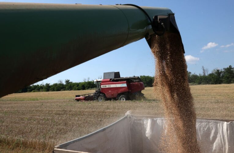 ЄС відновить квоти для агропродукції України