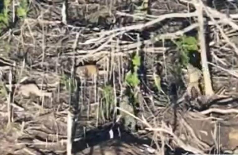 Зафіксовано 150 страт українських військових у полоні росіян – ГУР