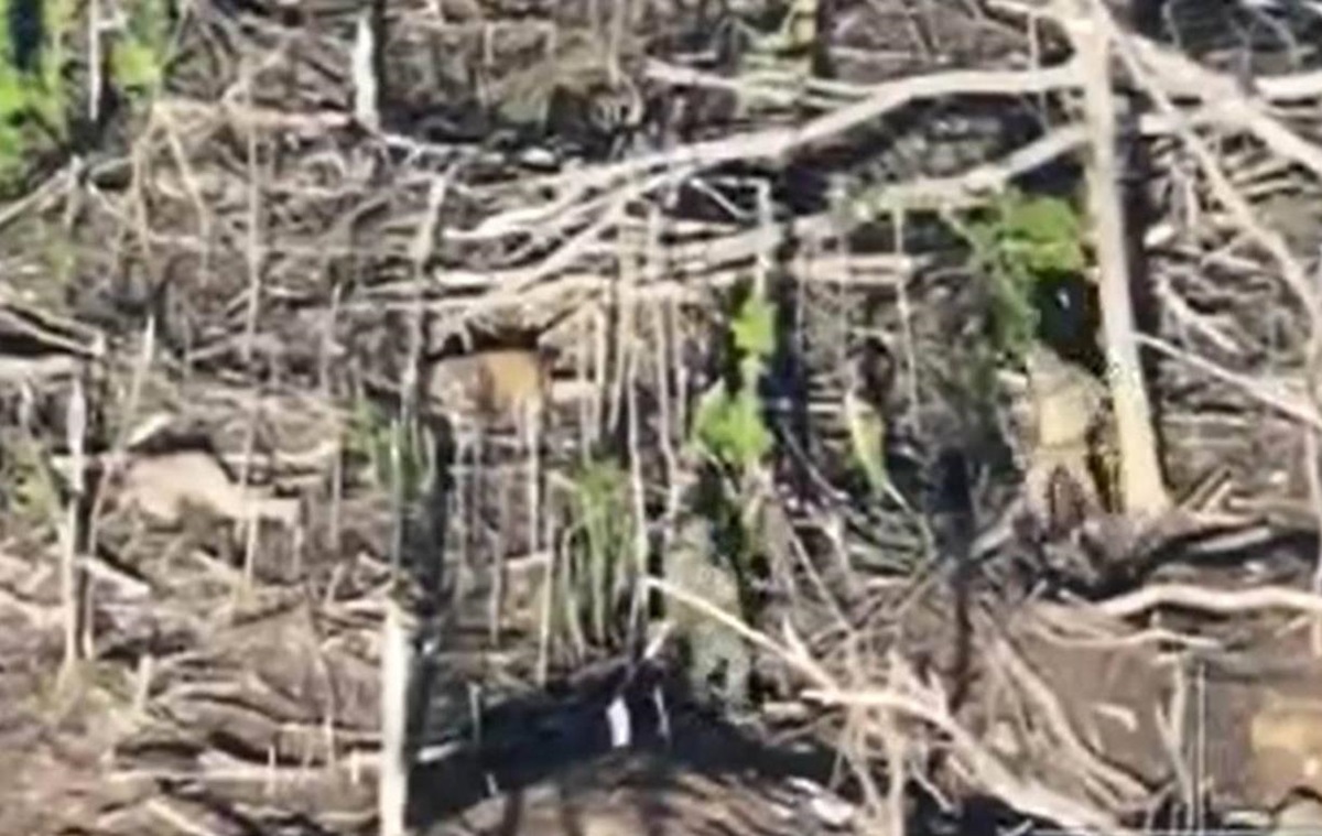 Новини України - Зафіксовано 150 страт українських військових у полоні росіян - ГУР