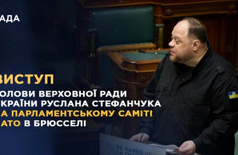 Виступ Руслана Стефанчука на Парламентському саміті НАТО в Брюсселі