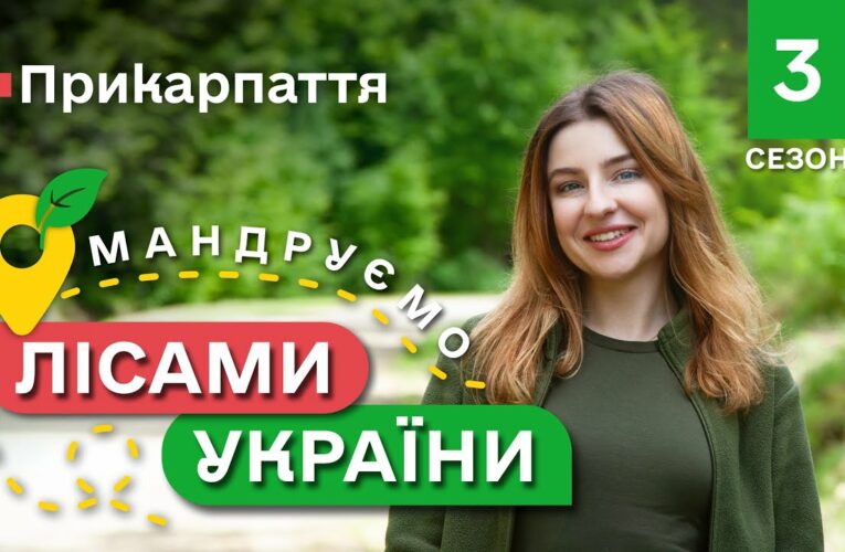 Карпатські ГОЛУБЦІ / унікальні локації КАРПАТ / Мандруємо ЛІСАМИ УКРАЇНИ #10 випуск