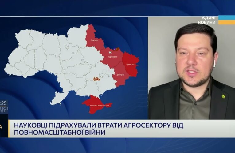 Втрати агросектору: як війна змінила українське сільське господарство | Денис Марчук