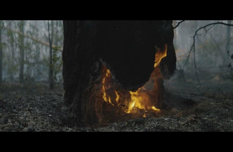 Ексклюзивні кадри: на Харківщині лісівники гасять пожежі у замінованому лісі