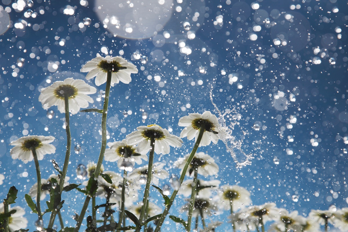 Новини України - Більшість областей України накриють дощі