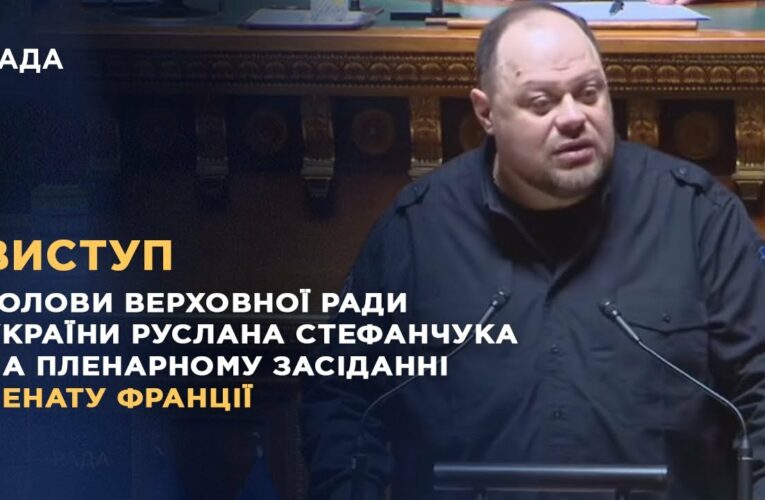 Виступ Руслана Стефанчука на пленарному засіданні Сенату Франції