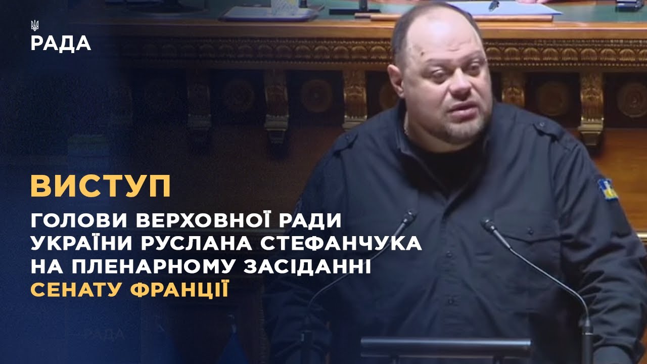 Виступ Руслана Стефанчука на пленарному засіданні Сенату Франції