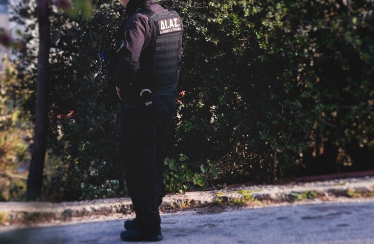 Фальшивий Пікассо і підробки Моне: у Греції викрили угруповання шахраїв