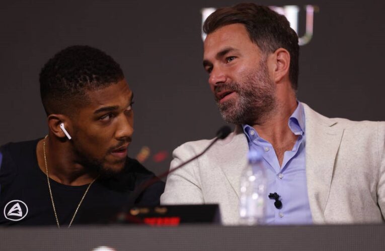 Гірн поділився міркуваннями щодо можливого бою Джошуа з Ф’юрі