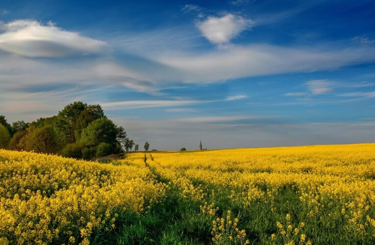 Гороскоп для всіх знаків зодіаку на 12 червня 2025 року