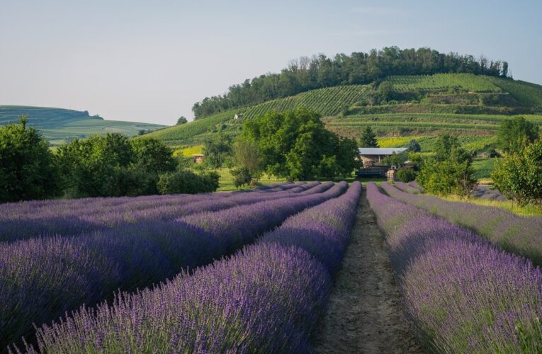 Гороскоп для всіх знаків зодіаку на 27 червня 2025 року