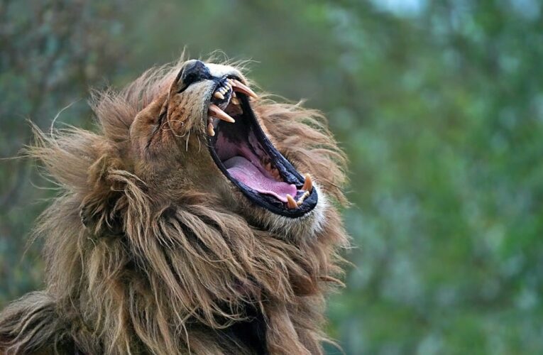 Гороскоп для всіх знаків зодіаку на 4 червня 2025 року