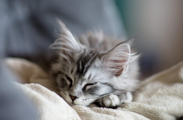 Гороскоп для всіх знаків зодіаку на вихідні 14-15 червня 2025 року