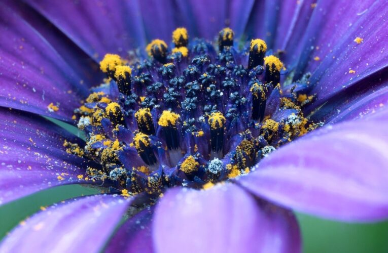 Гороскоп для всіх знаків зодіаку на вихідні 28-29 червня 2025 року