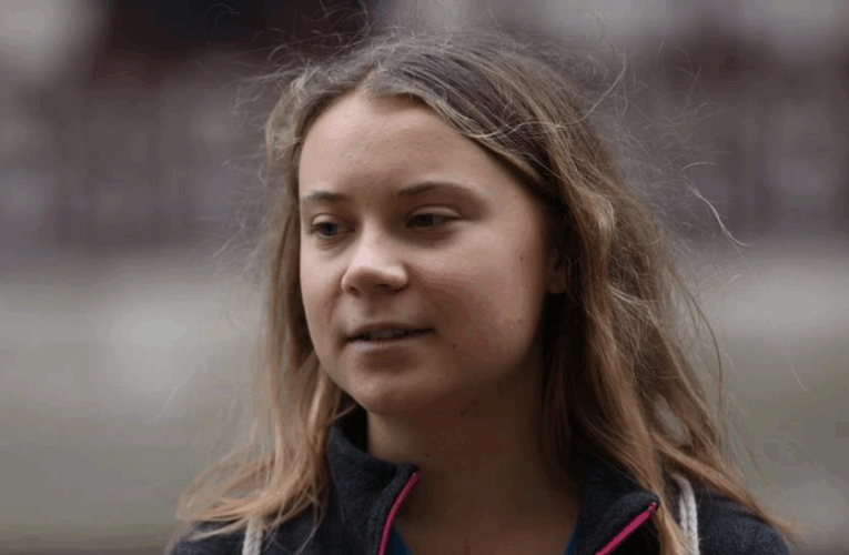 Грета Тунберг звинуватила Ізраїль у її викраденні