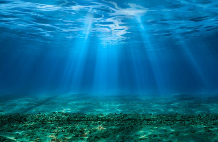 Кислотність океану сягнула критичних рівнів: під загрозою цілі екосистеми