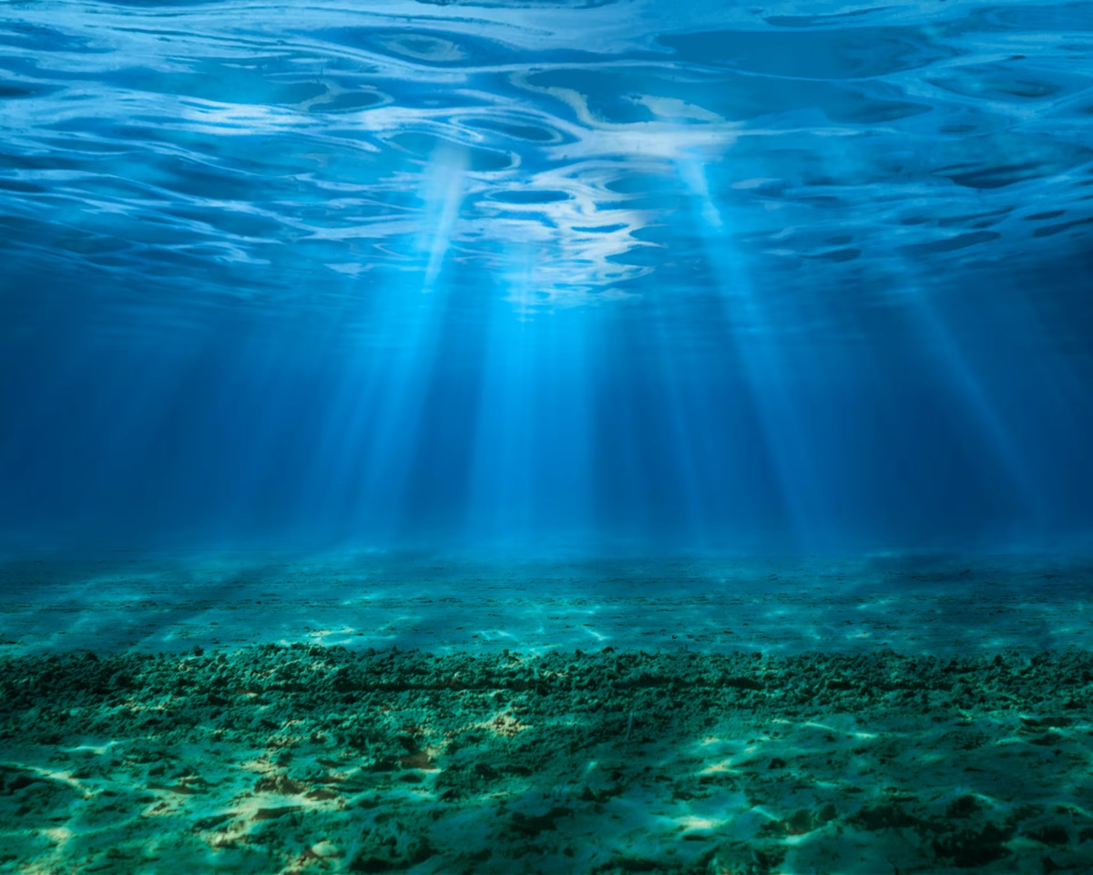 Технології - Кислотність океану сягнула критичних рівнів: під загрозою цілі екосистеми