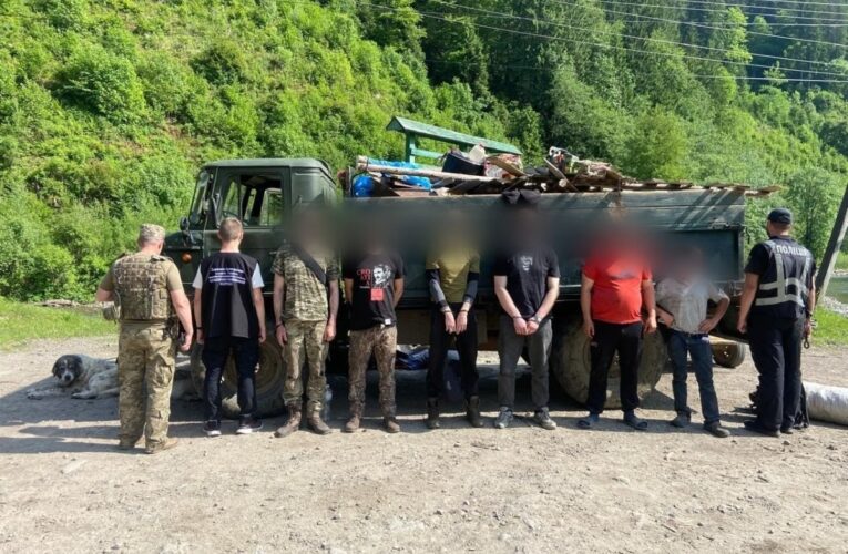 Кози, свині й ухилянти – на Закарпатті викрили схему перевізників