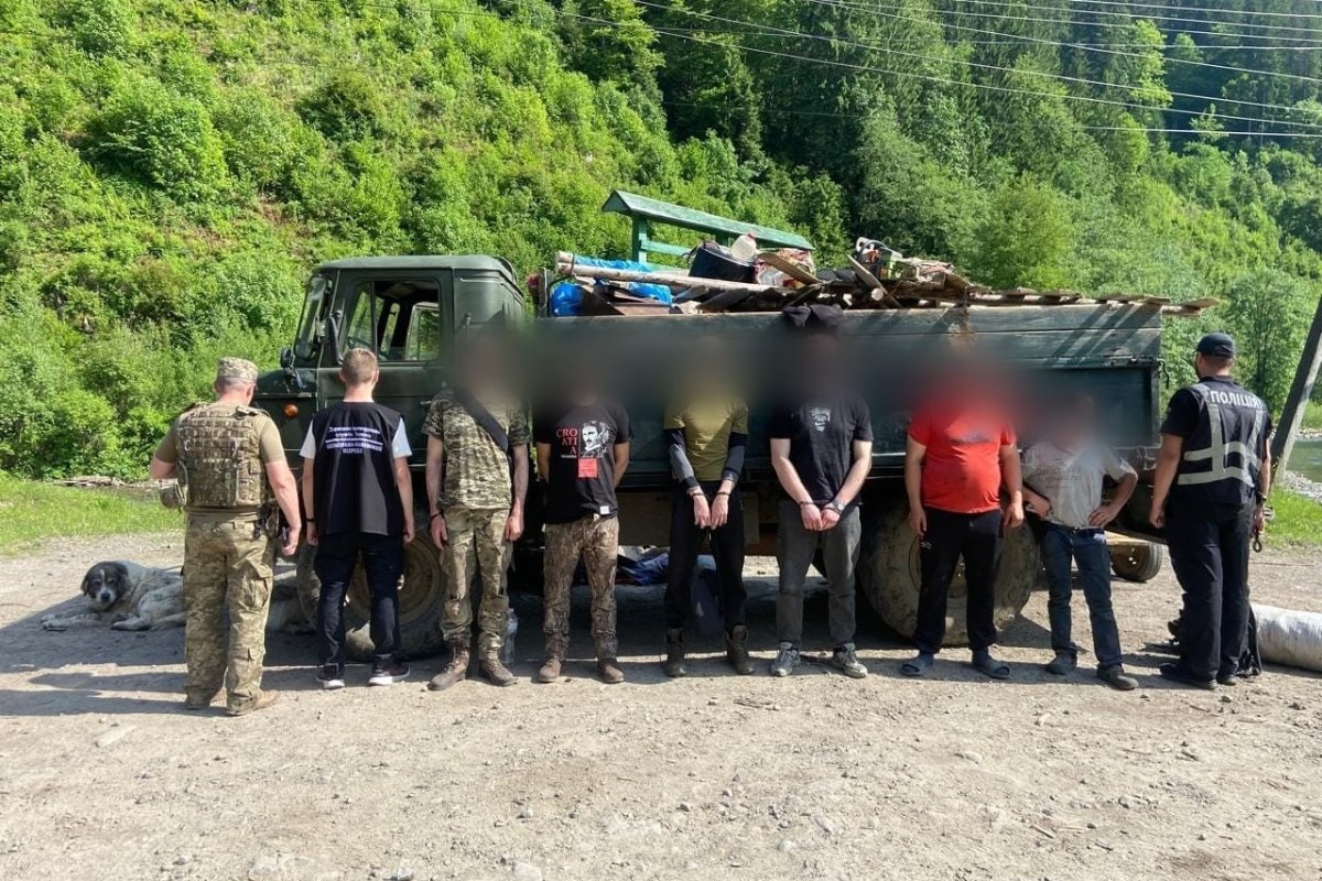 Новини України - Кози, свині й ухилянти - на Закарпатті викрили схему перевізників