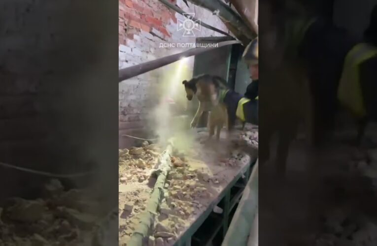 кадри порятунку 2 носиків після російського обстрілу