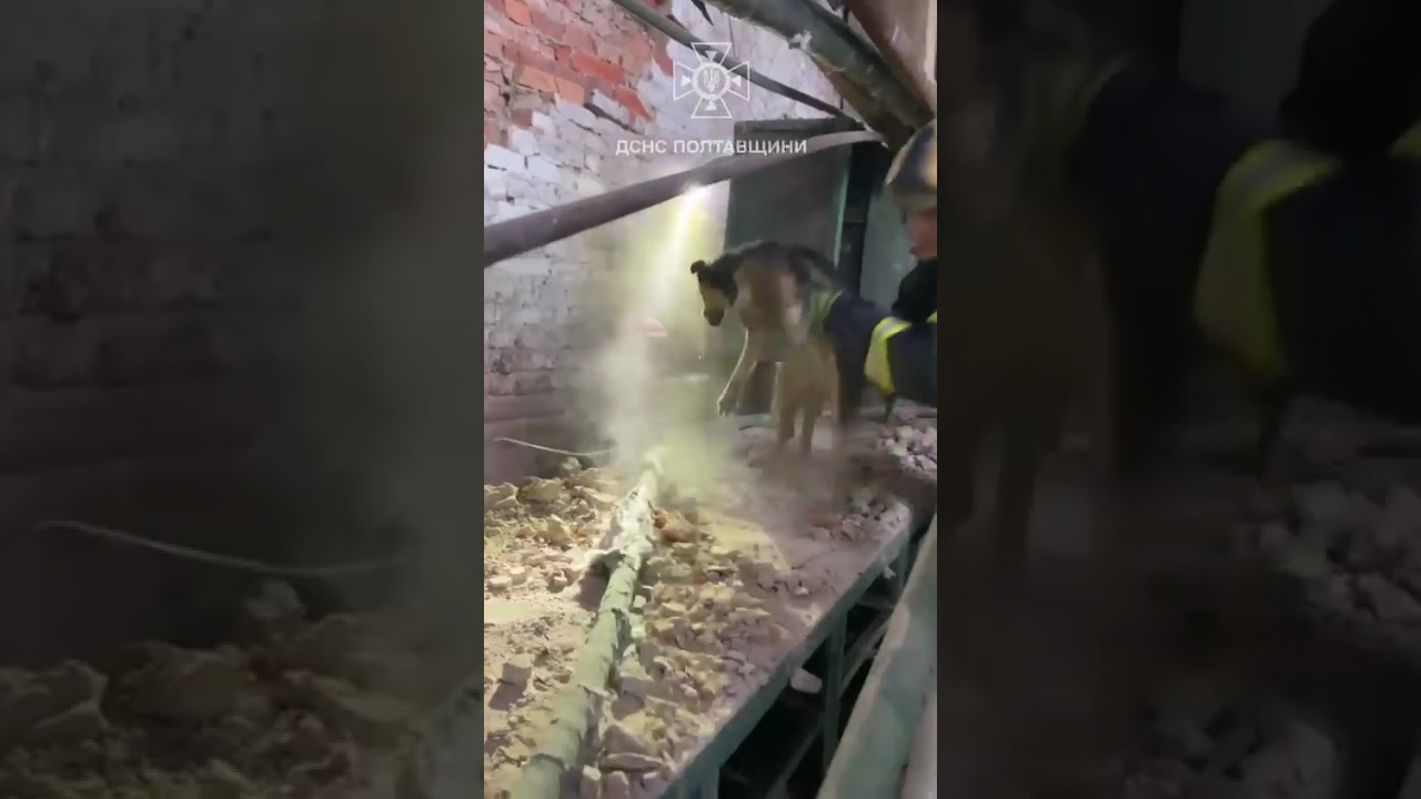 кадри порятунку 2 носиків після російського обстрілу