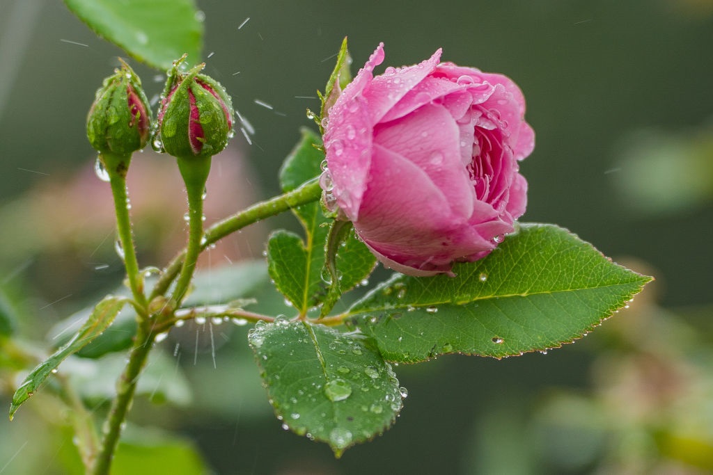 Новини України - Літо набирає обертів: Україну чекає тепла п’ятниця