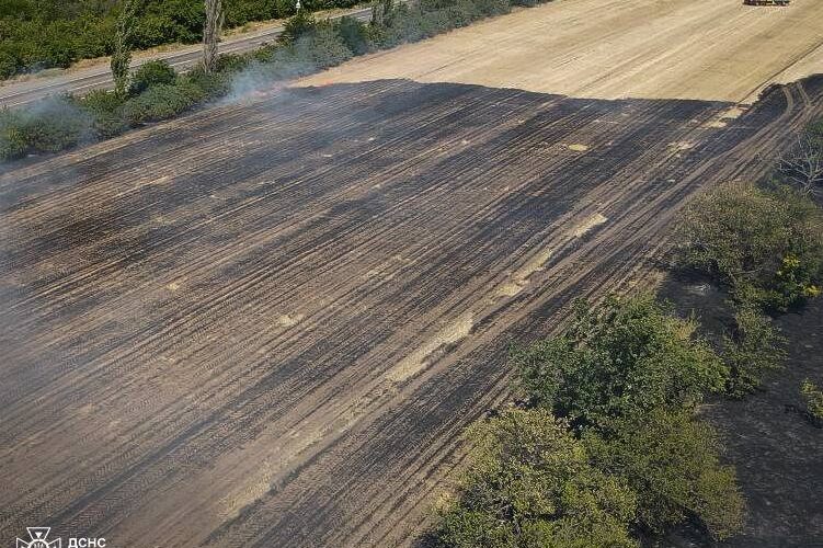 На Миколаївщині вигоріло 50 га пшениці