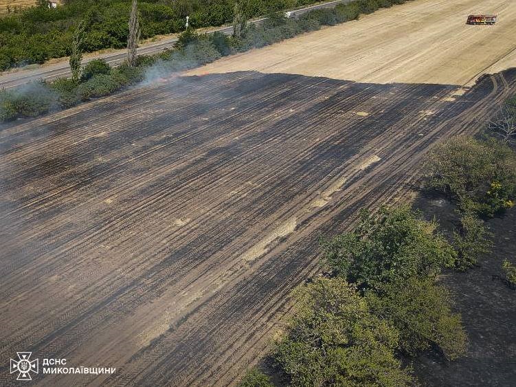 Новини України - На Миколаївщині вигоріло 50 га пшениці