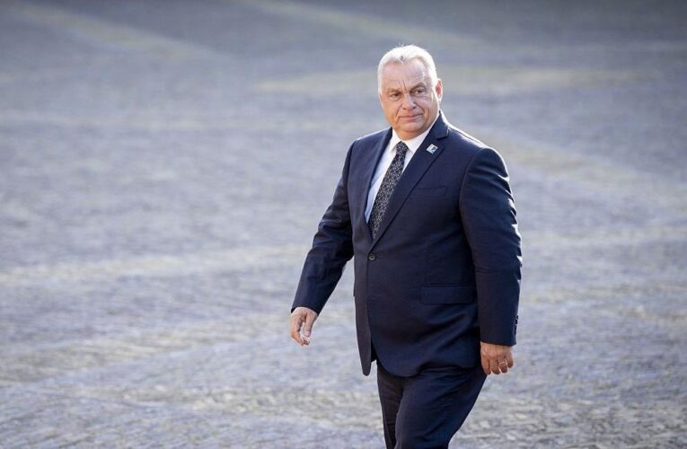 Орбан зробив заяву про Зеленського на саміті НАТО