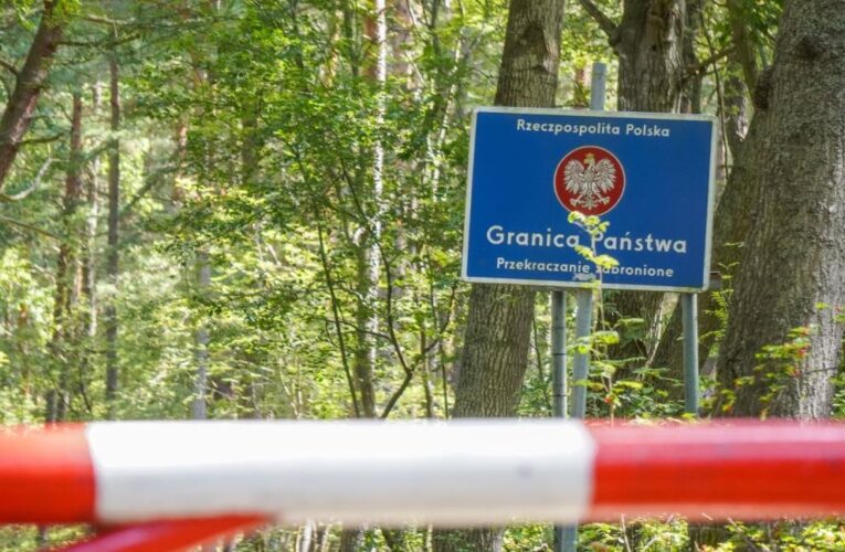 Польща виходить з конвенції про заборону протипіхотних мін