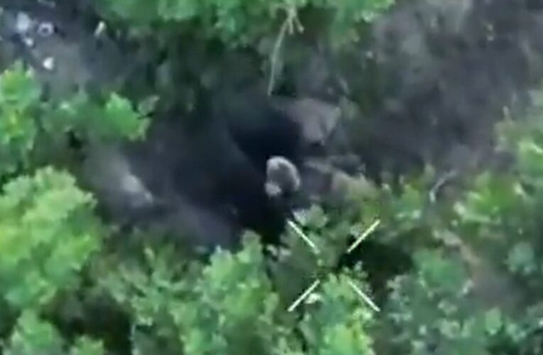 Росіянин перед знищенням сам заліз у чорний пакет