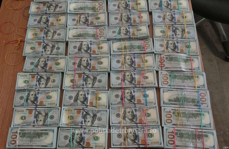 Румунські митники вилучили у подружжя з України $1,4 млн готівки