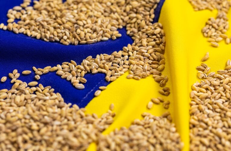 Став відомий найбільший імпортер агропродукції України серед країн ЄС