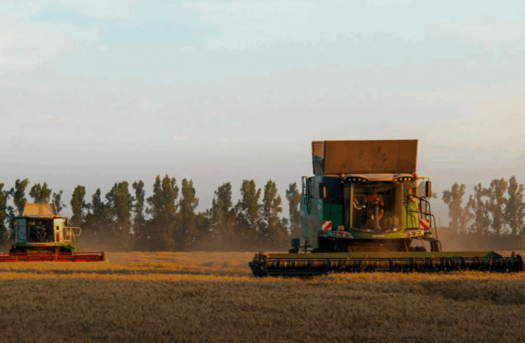 Темпи жнив-2025 відстають від минулорічних у 3,8 раза