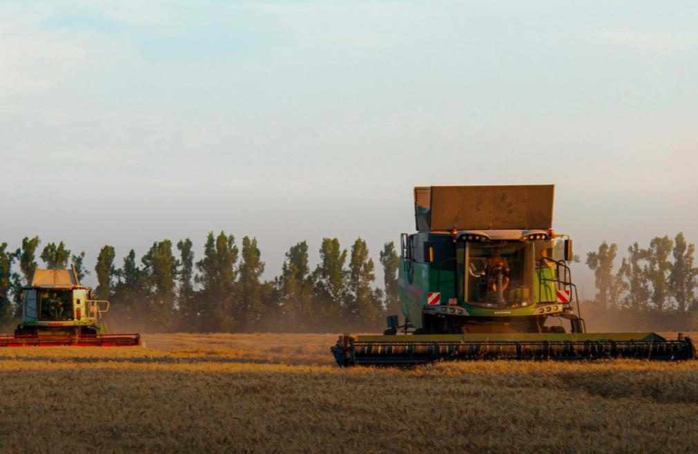 Новини бізнесу - Темпи жнив-2025 відстають від минулорічних у 3,8 раза