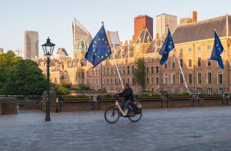 У Нідерландах затвердили дату дострокових виборів