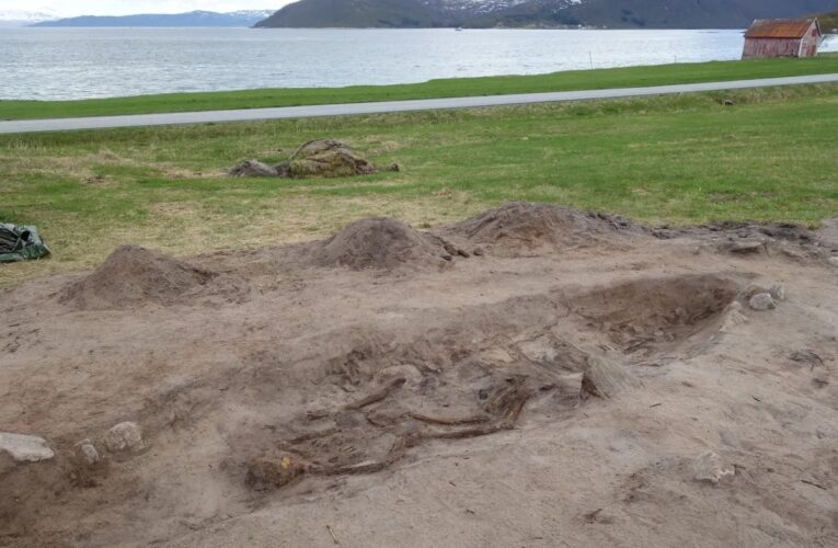 У Норвегії виявили 1000-річне поховання жінки-вікінга з її собакою