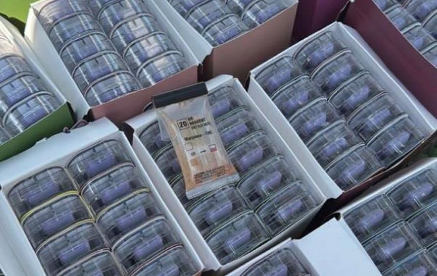 Новини України - У посилках з Німеччини: викрито канал постачання наркотиків в Україну