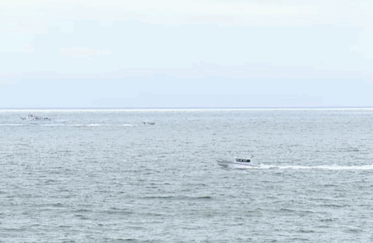 У США внаслідок падіння літака в океан загинули шестеро людей