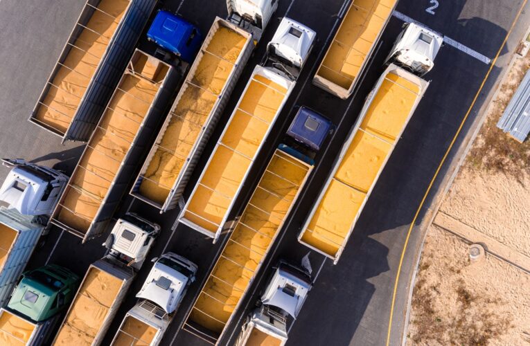 Україна наростила експорт жита