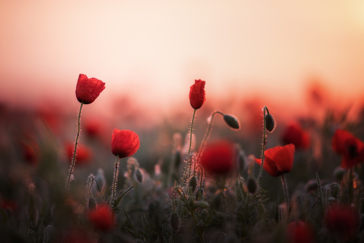 Новини України - Україна зустріне літо грозами та спекою