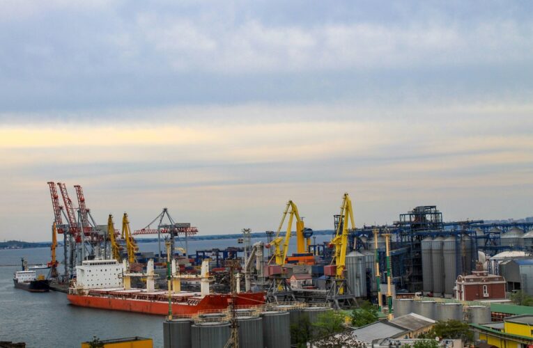 Українські морпорти обробили 40 млн тонн вантажів з початку року