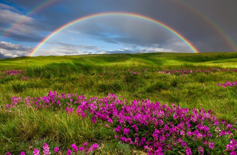 Україну накриє спека до +37, подекуди грози