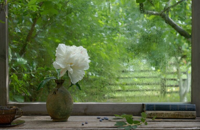 Україну накриють короткочасні дощі