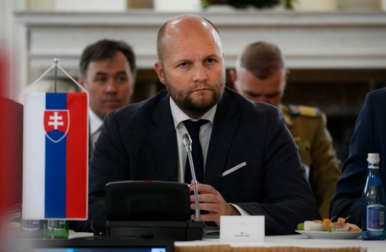 В Словаччині вирішили затримати екс-міністра через допомогу Україні